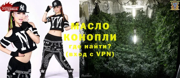 мет Инсар